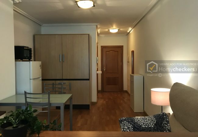 Estudio en Salamanca - ALSA36-005 ESTUDIO PARQUE VALHONDO Estudio en Salamanca - ALSA36-005 ESTUDIO PARQUE VALHONDO