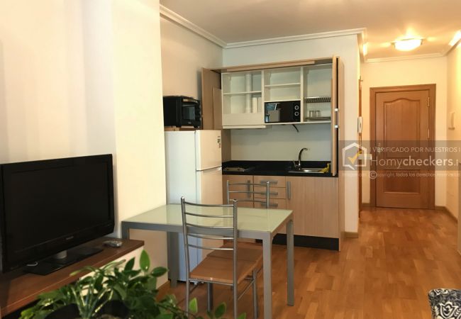 Estudio en Salamanca - ALSA36-005 ESTUDIO PARQUE VALHONDO Estudio en Salamanca - ALSA36-005 ESTUDIO PARQUE VALHONDO