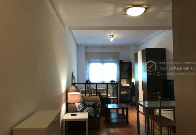 Estudio en Salamanca - ALSA36-005 ESTUDIO PARQUE VALHONDO Estudio en Salamanca - ALSA36-005 ESTUDIO PARQUE VALHONDO