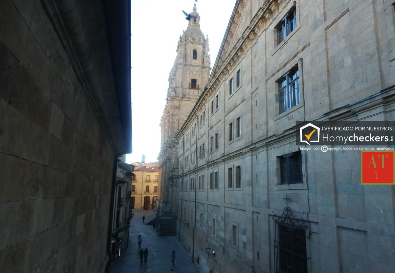 Apartamento en Salamanca - HomyAT MELENDEZ