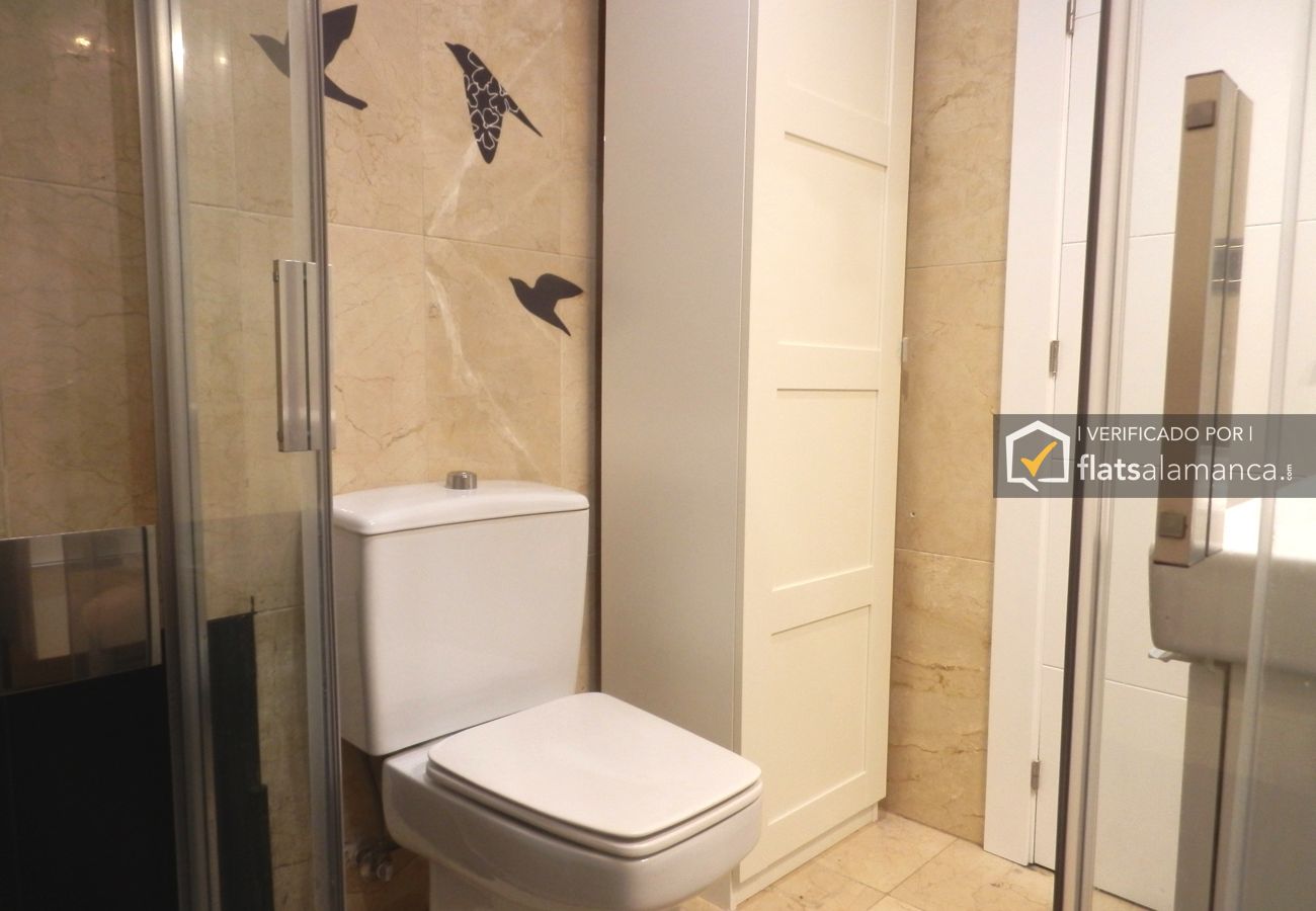 Apartamento en Salamanca - Plaza Mayor Coliseum | 1 |