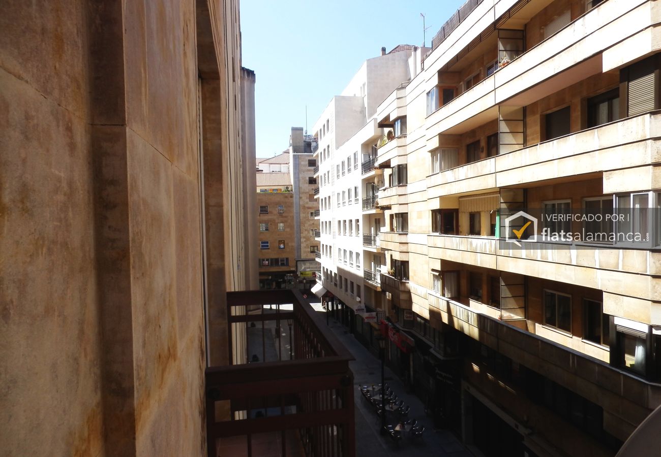 Apartamento en Salamanca - Plaza Mayor Coliseum | 1 |