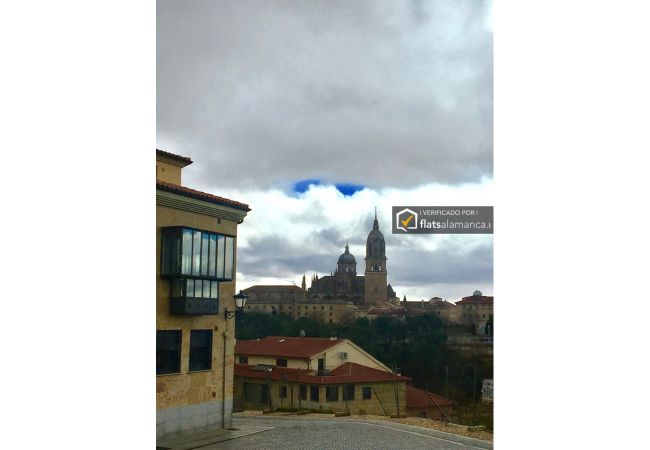 Flat in Salamanca - PISO 2 DORMITORIOS ZONA HOSPITALES ALSA07-002 Flat in Salamanca - PISO 2 DORMITORIOS ZONA HOSPITALES ALSA07-002
