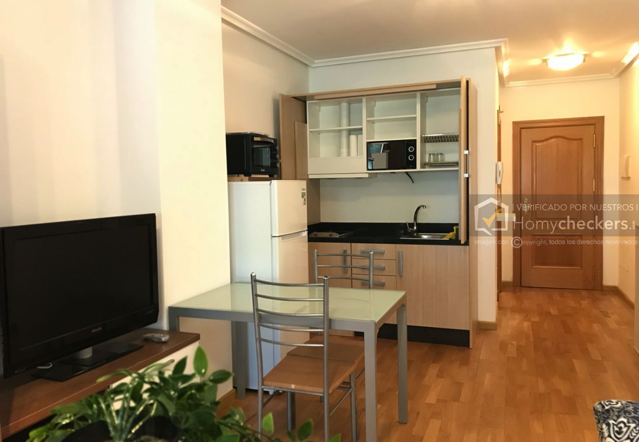 Studio in Salamanca - ALSA36-005 ESTUDIO PARQUE VALHONDO Studio in Salamanca - ALSA36-005 ESTUDIO PARQUE VALHONDO