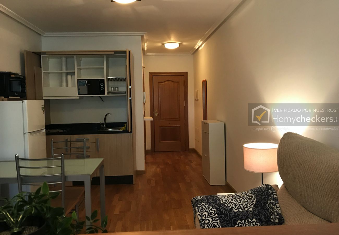 Studio in Salamanca - ALSA36-005 ESTUDIO PARQUE VALHONDO Studio in Salamanca - ALSA36-005 ESTUDIO PARQUE VALHONDO