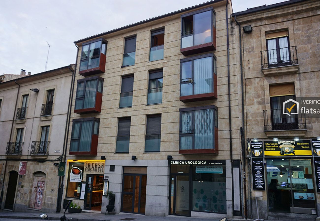 Apartment in Salamanca - VIVIENDA VINTAGE CENTRO