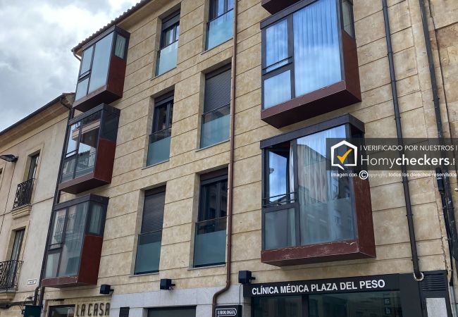 Apartment in Salamanca - HomyAT PLAZA DEL PESO Apartment in Salamanca - HomyAT PLAZA DEL PESO