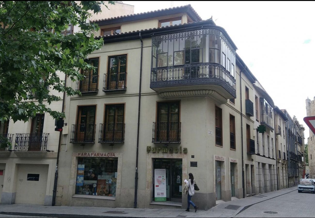 Apartment in Salamanca - Apartamento Consuelo, bajo cubierta