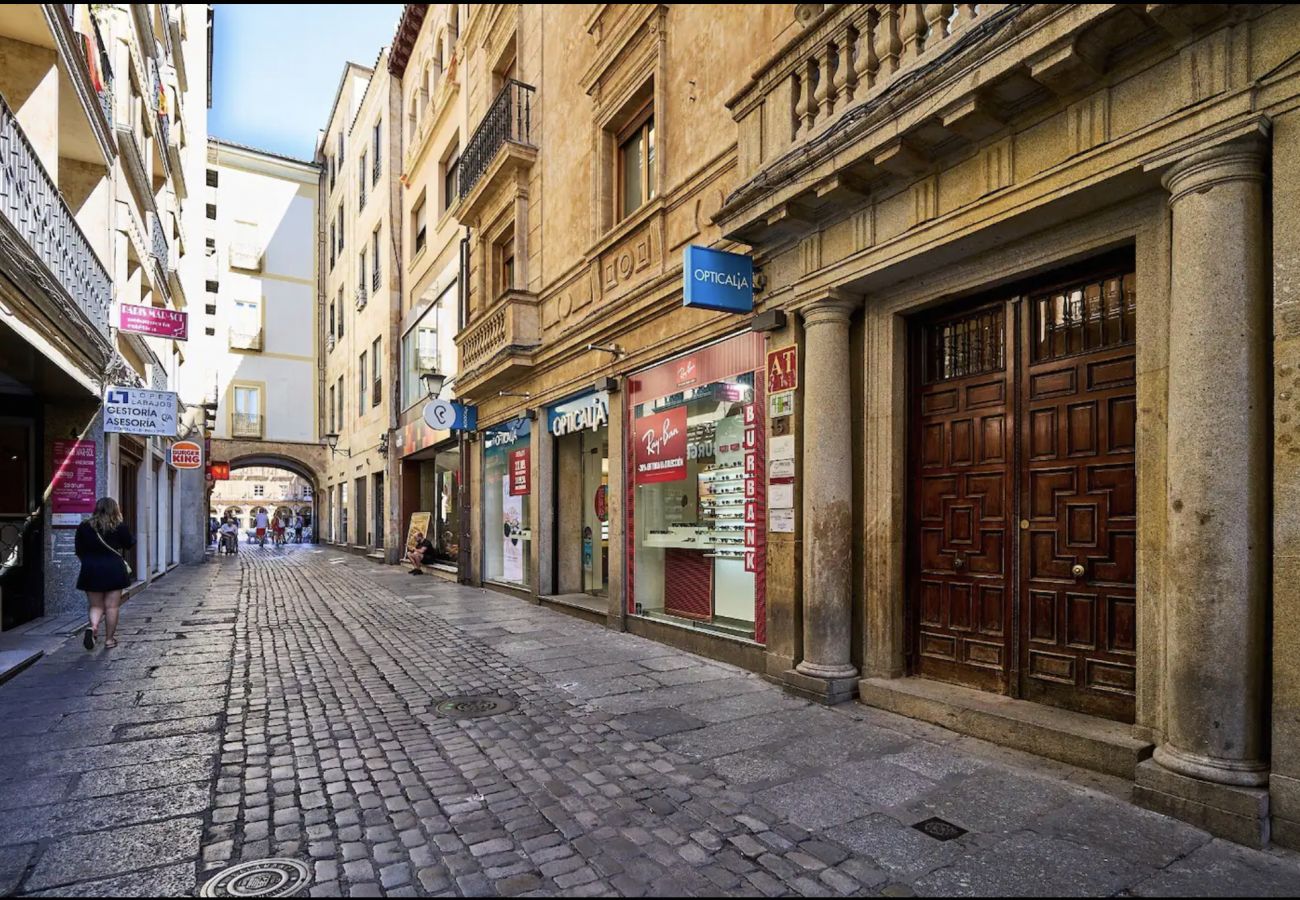 Apartment in Salamanca - PRIOR 5 | PLAZA MAYOR | 3 | by Victoria