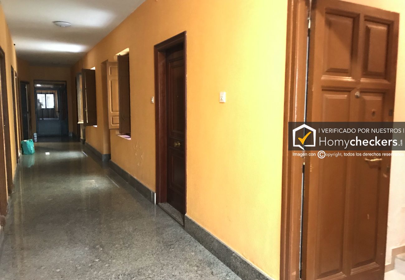 Piso en Salamanca - PISO 2 DORMITORIOS C/ Rua Mayor 20